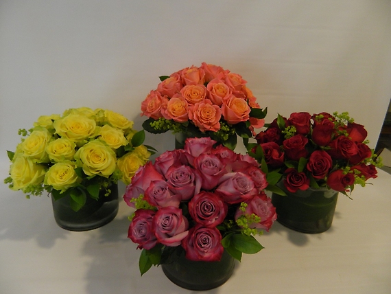 Two Dozen Premium Roses-Hand Tied Roses  Spiral Design