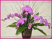 Corporate Flower Accounts