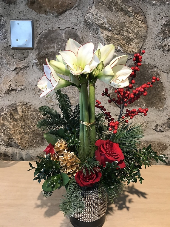 Amaryllis Topiary