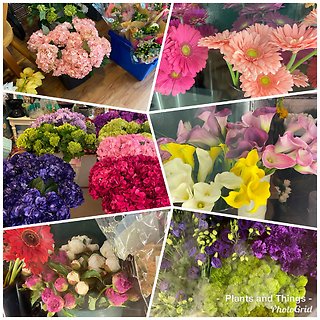 Designers Choice- Bobbi Vase