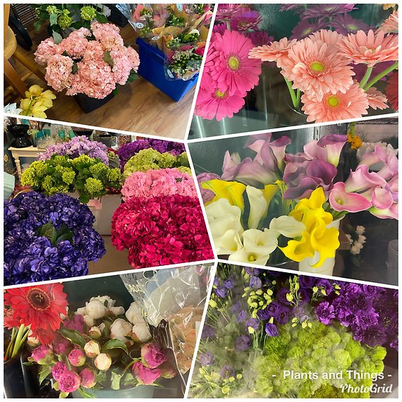 Designers Choice- Bobbi Vase