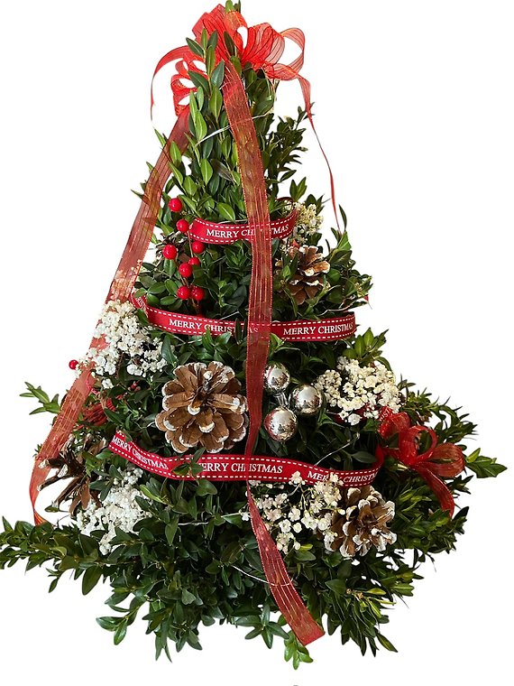 Custom Designed Boxwood Trees