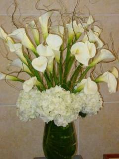 Elegant Calla Lily Floral