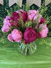 Peony Perfection