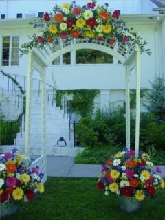 Gerbera Arbor