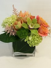 Sophistacated Amaryllis Design