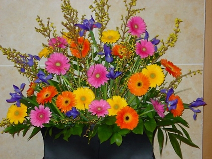 Gerbera Daisy Arrangement